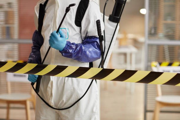 Professional Sewage Cleanup technician working in Antioch, IL